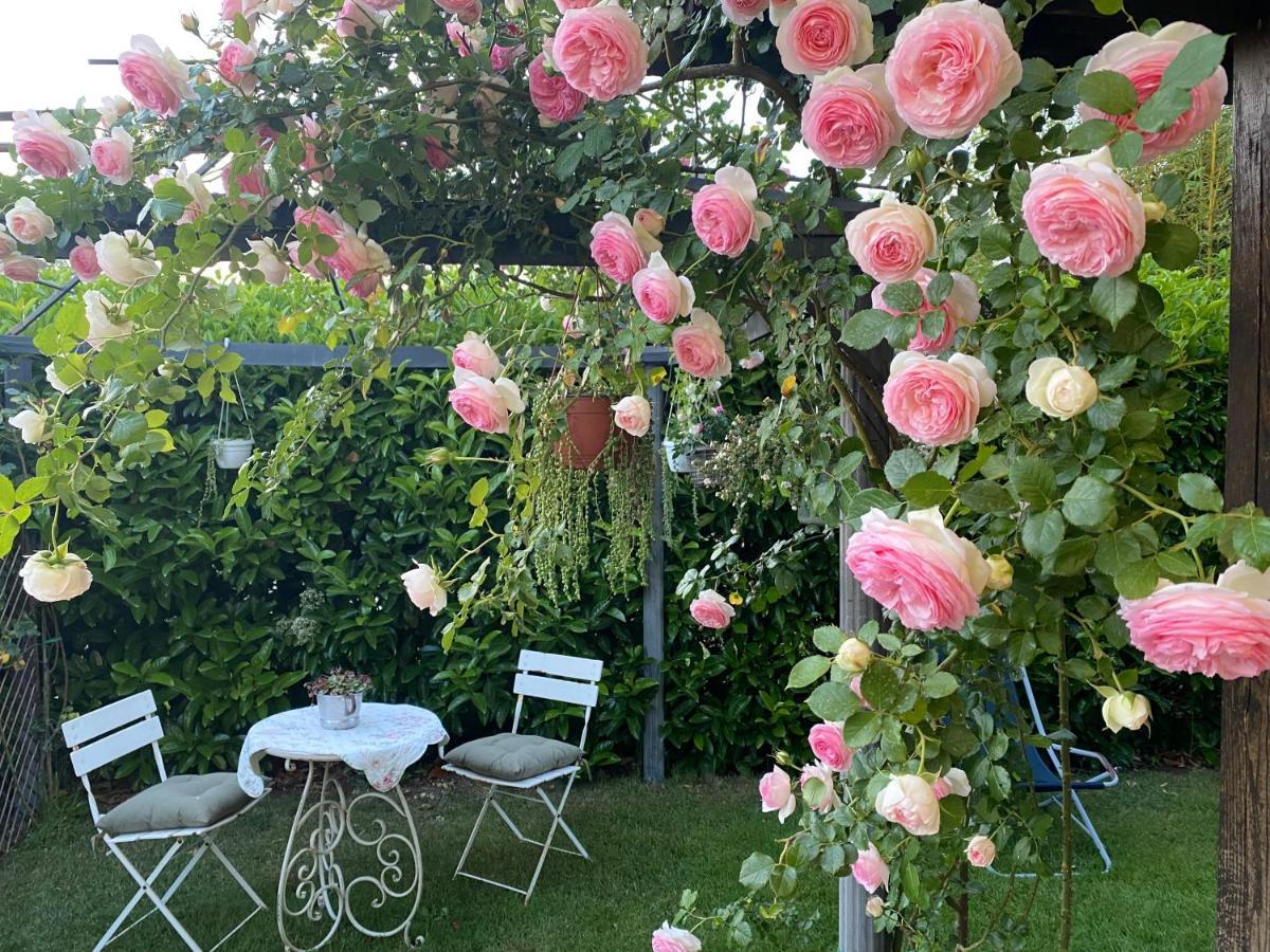 فيانو رومانو La Locanda Del Tevere المظهر الخارجي الصورة