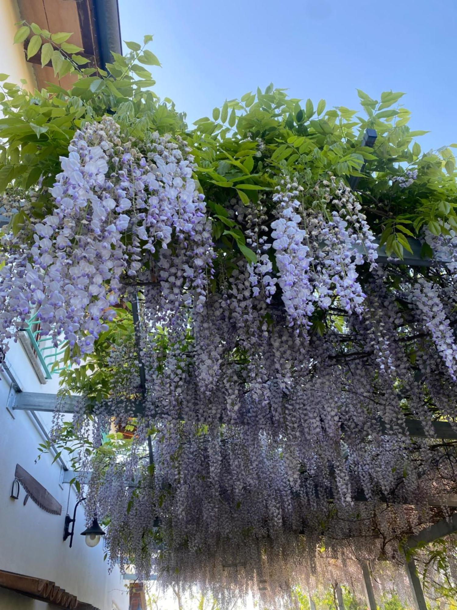 فيانو رومانو La Locanda Del Tevere المظهر الخارجي الصورة