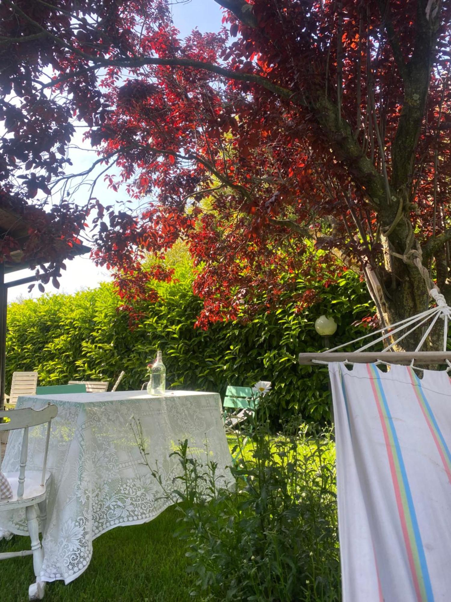 فيانو رومانو La Locanda Del Tevere المظهر الخارجي الصورة