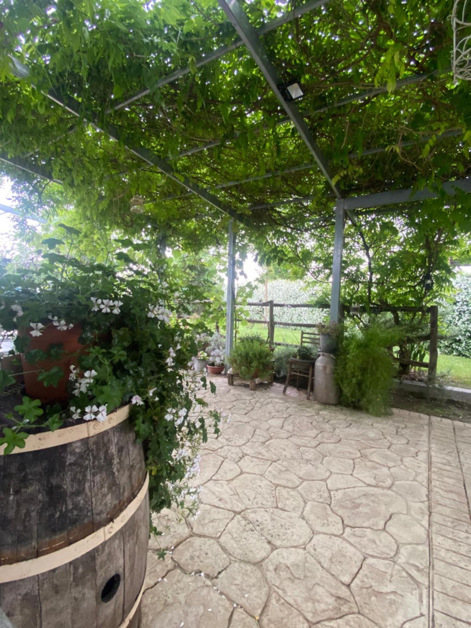فيانو رومانو La Locanda Del Tevere المظهر الخارجي الصورة