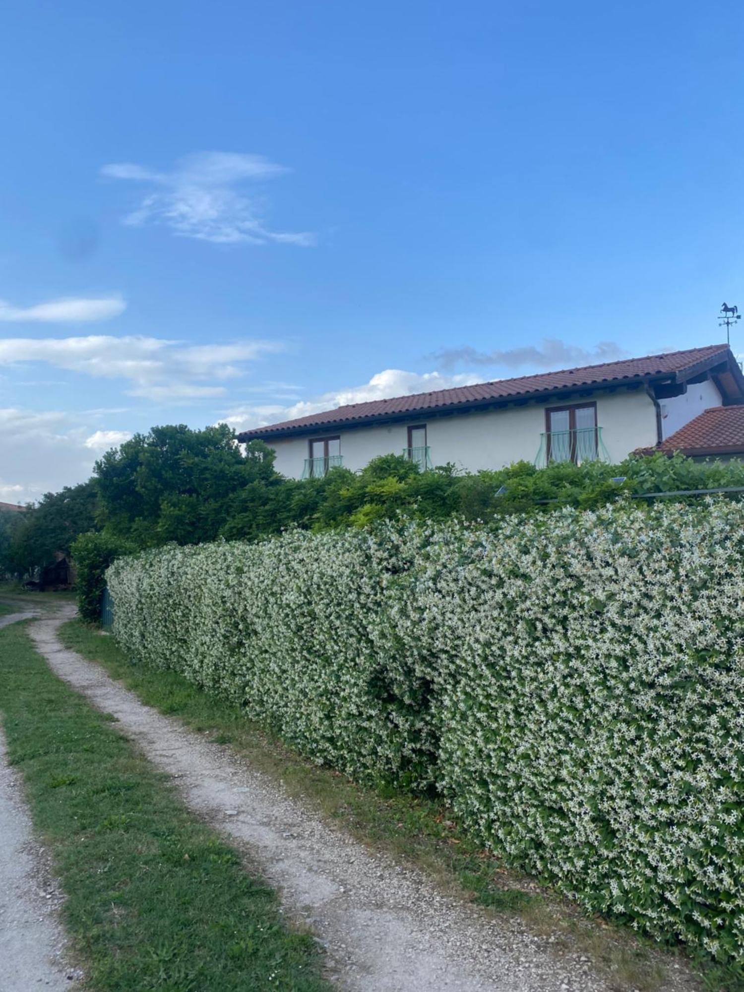 فيانو رومانو La Locanda Del Tevere المظهر الخارجي الصورة