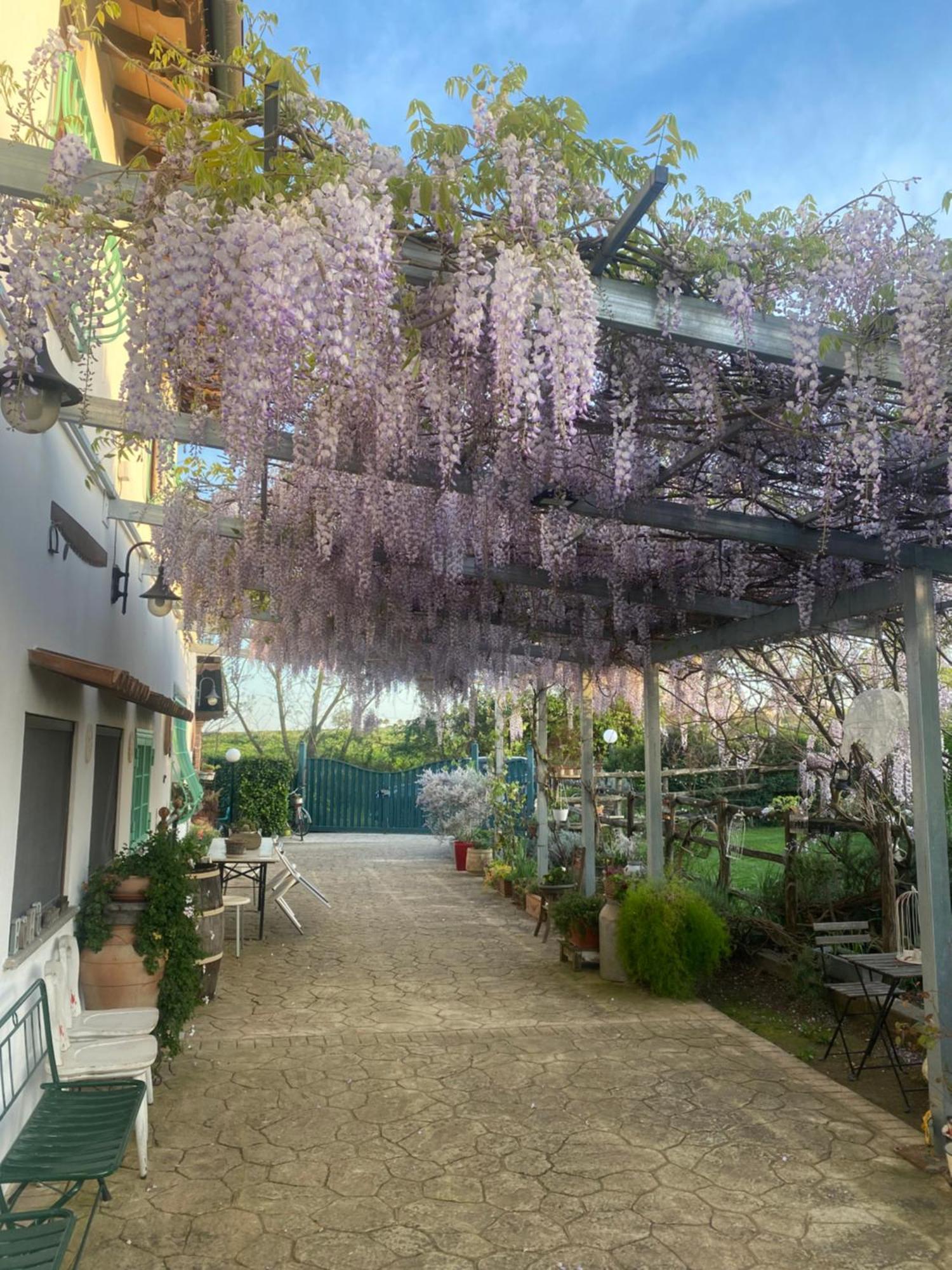 فيانو رومانو La Locanda Del Tevere المظهر الخارجي الصورة