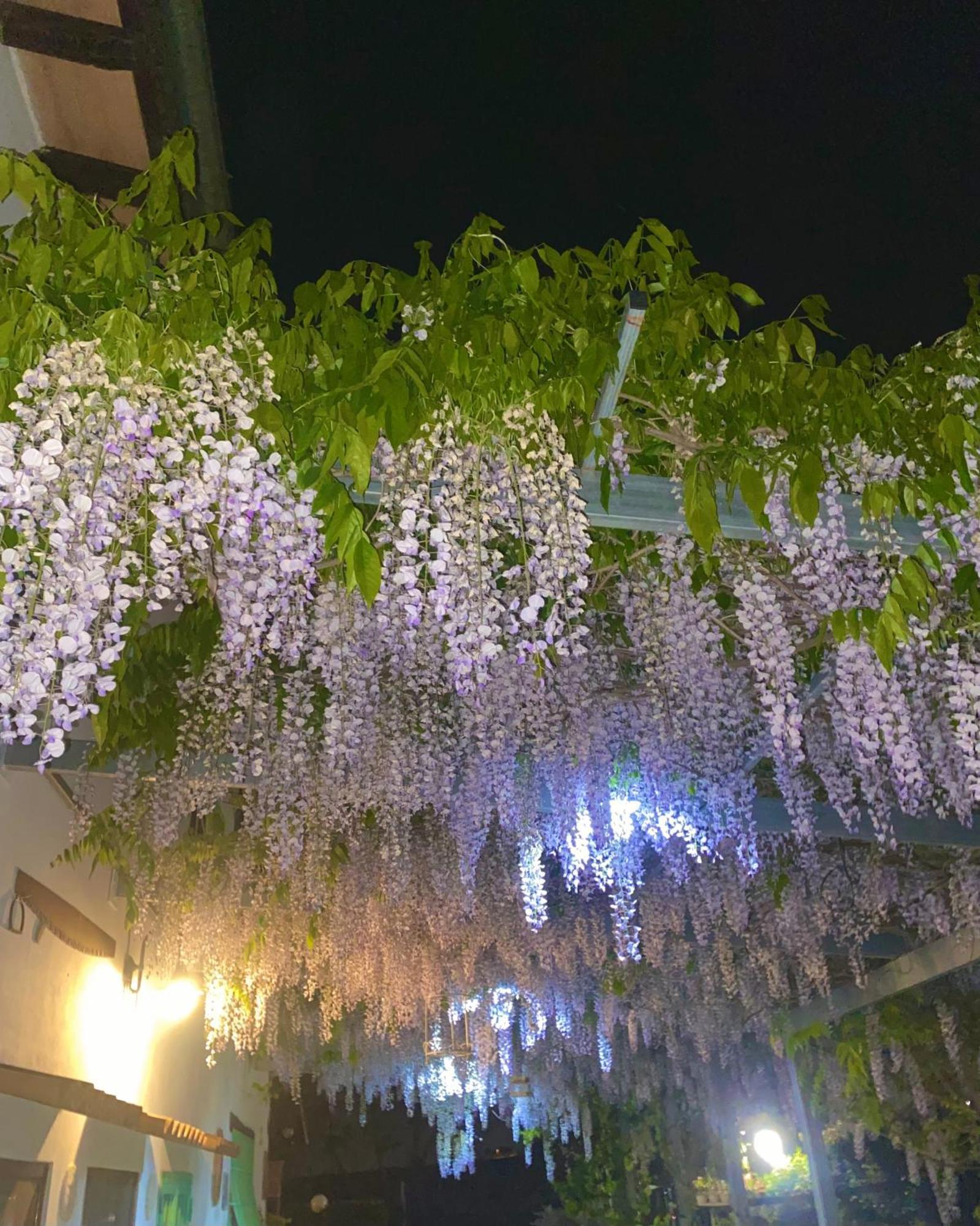 فيانو رومانو La Locanda Del Tevere المظهر الخارجي الصورة